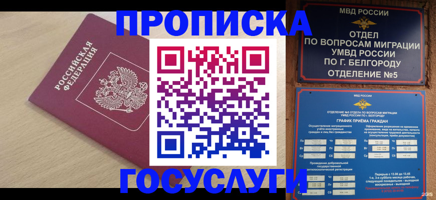 прописка законно в Жукове
